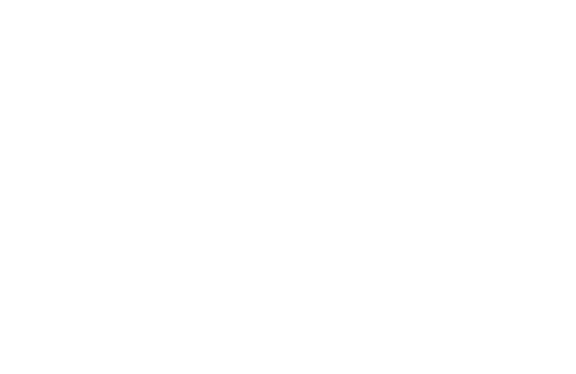 North logo concept 9