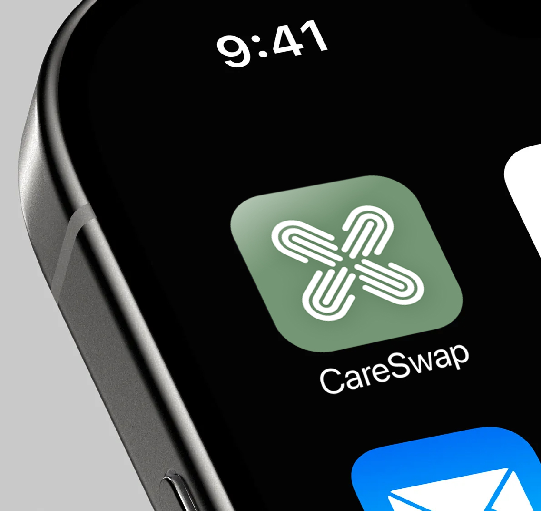 CareSwap Brand Identity preview