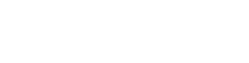 North logo concept 8