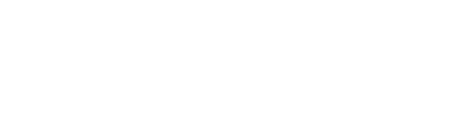 North logo concept 2