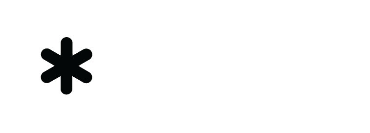 North logo concept 7