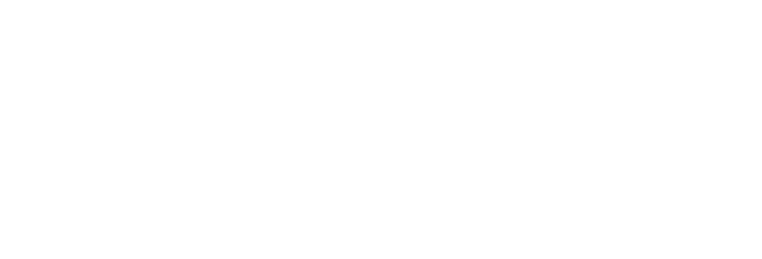 North logo concept 12