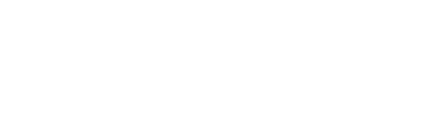 North logo concept 1