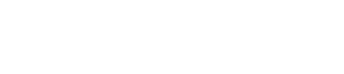 North logo concept 11