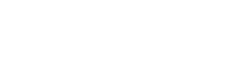 North logo concept 10